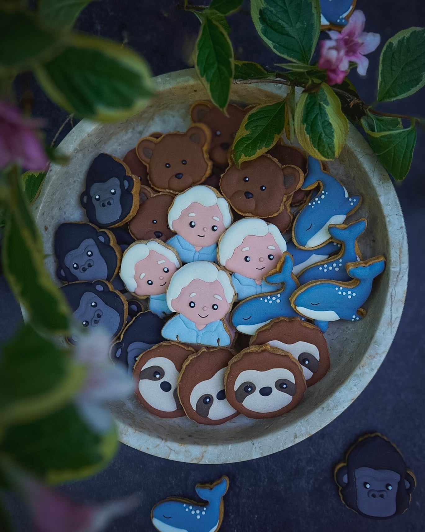 Celebrating Sir David Attenborough