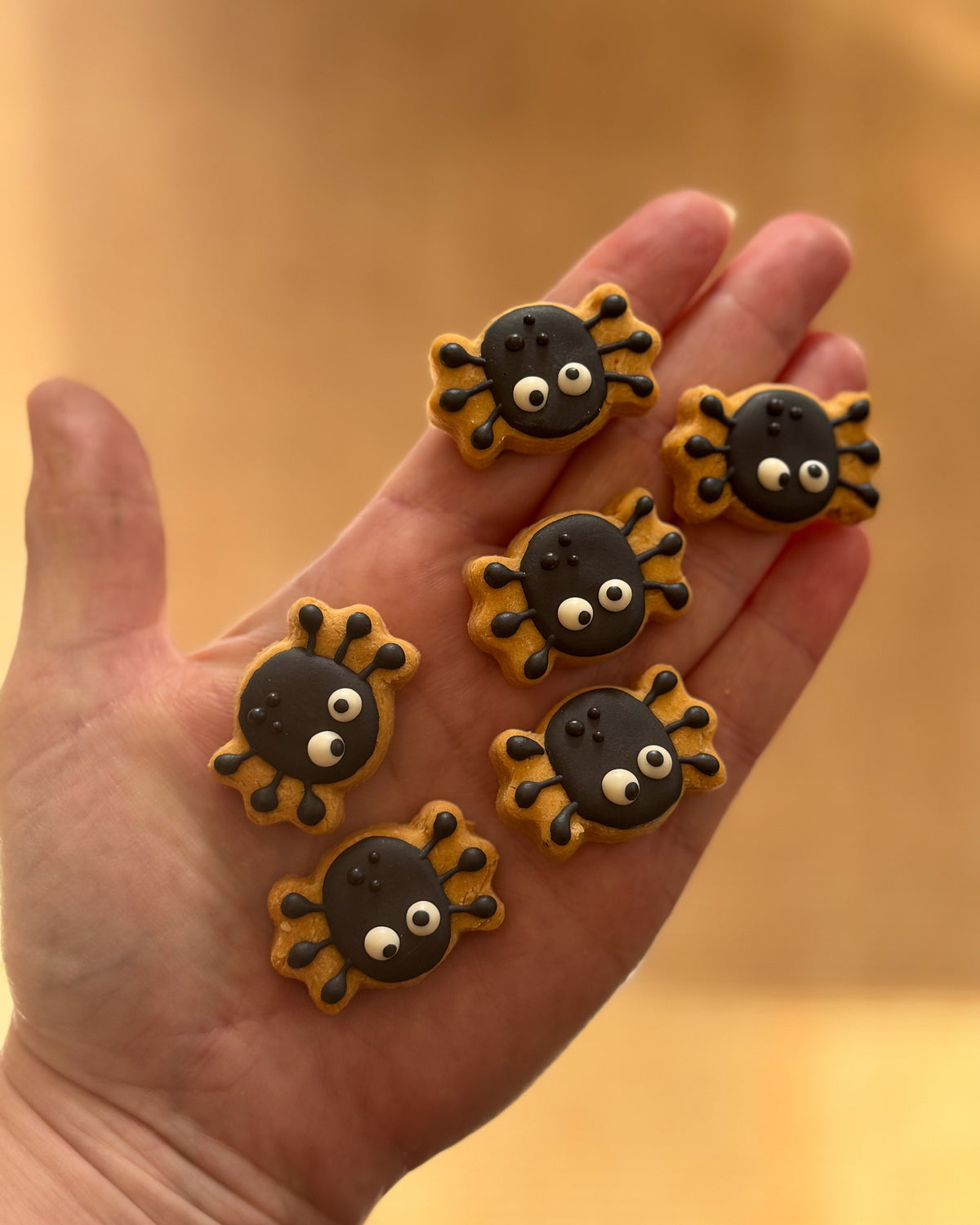 Didi Spooky Bites