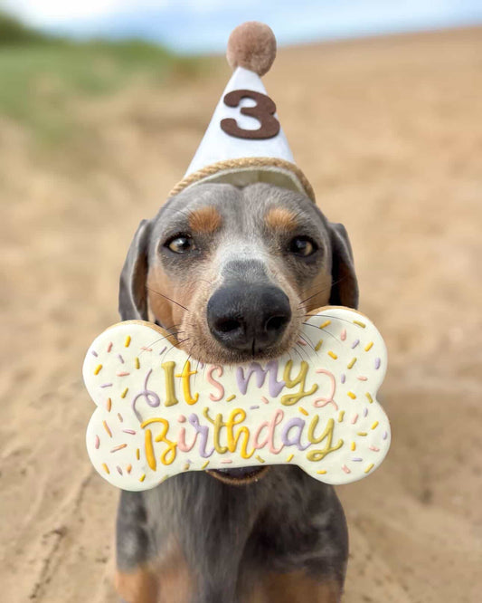 Celebration Bone