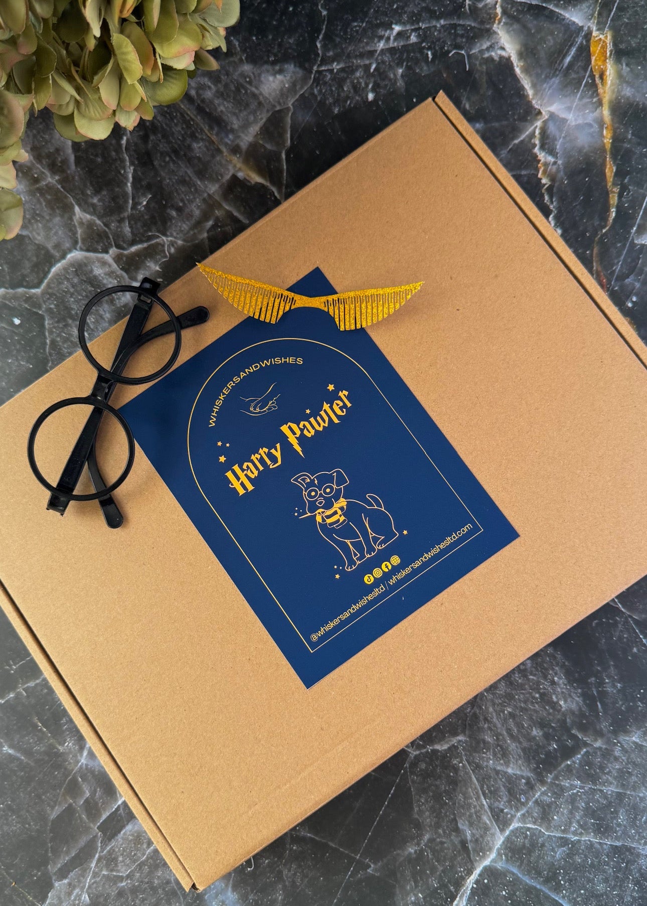 Harry Pawter Themed Box