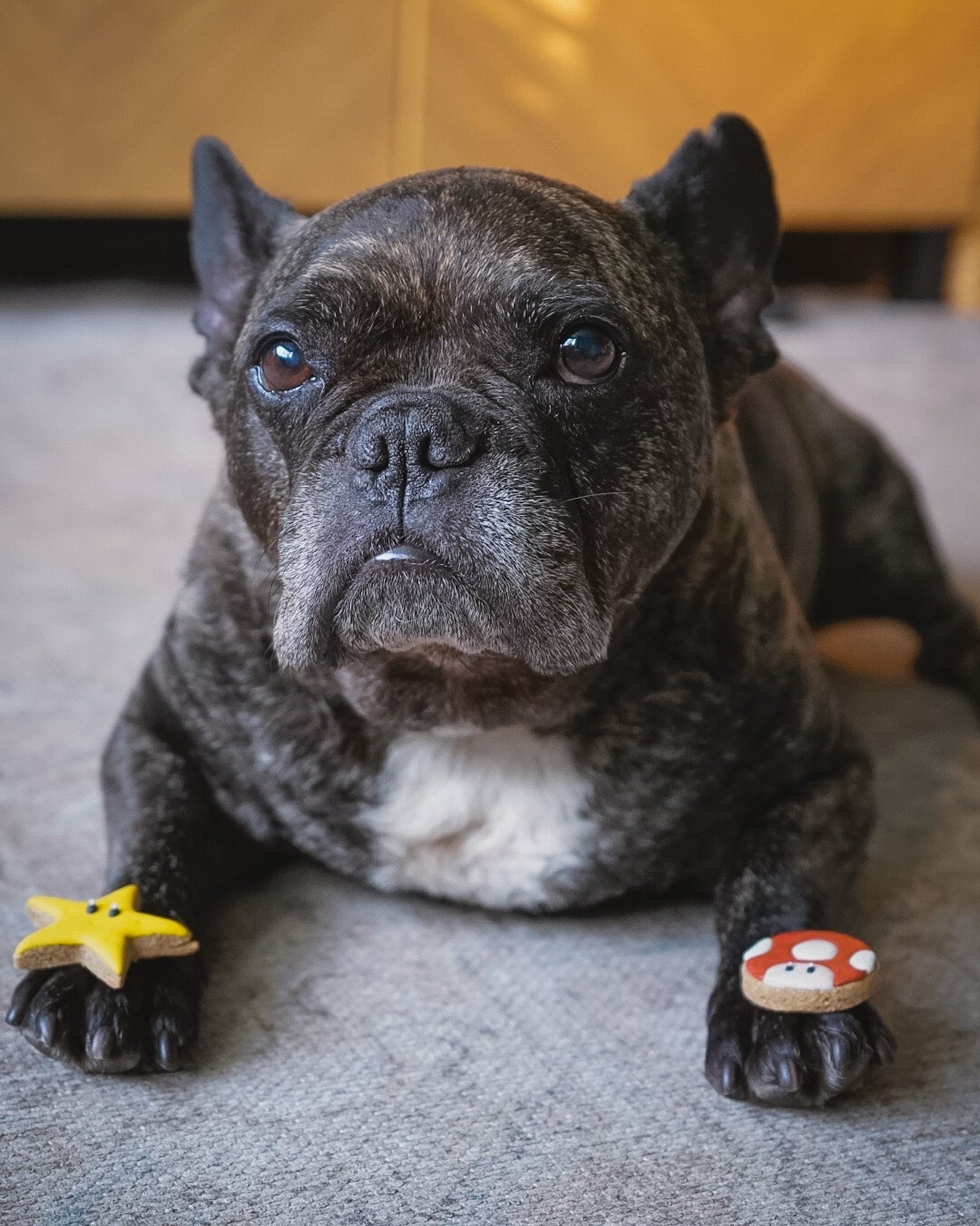 POWER Up Mini Cookies