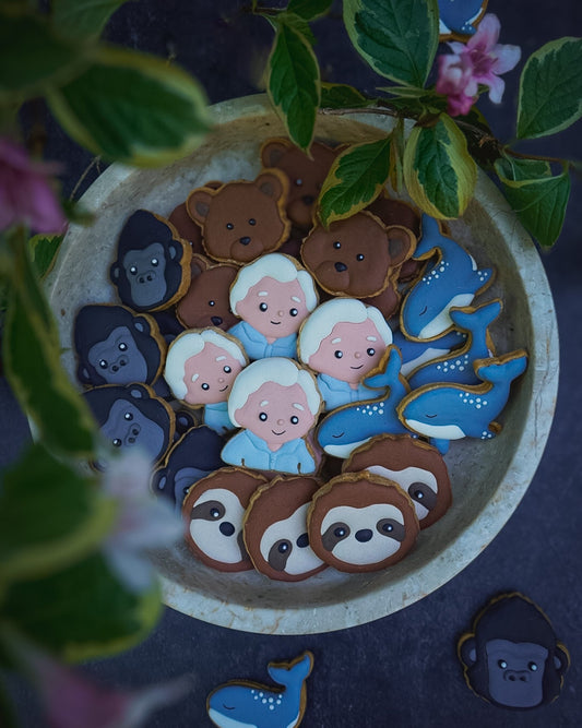 Celebrating Sir David Attenborough