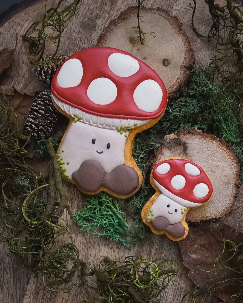 Kinoko and Kiko Iced Dog Biscuit's