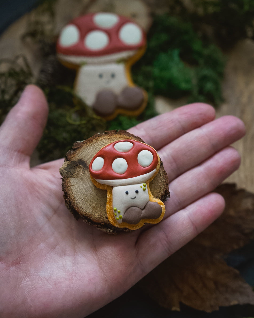 Kinoko and Kiko Iced Dog Biscuit's